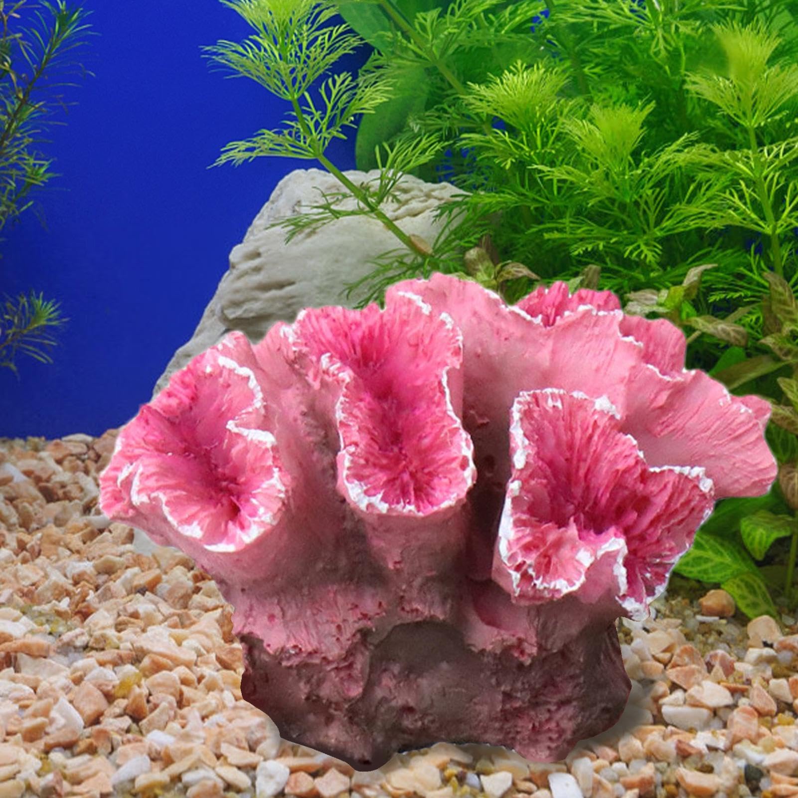 Amazon.co.jp: サンゴ礁の装飾、サンゴ礁 | ピンクのサンゴ礁の装飾